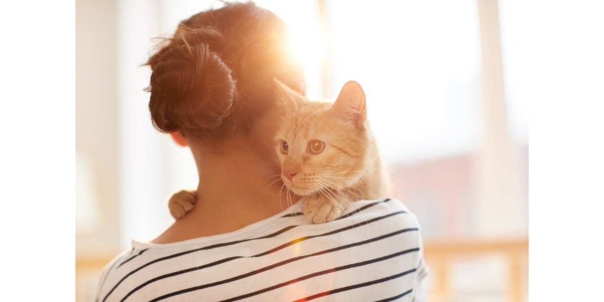 Cat Survival Kits - Gear Up Survival Kits