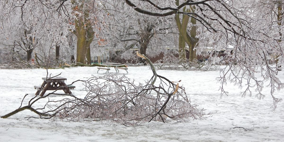 Winter Storm Survival Kit Collection