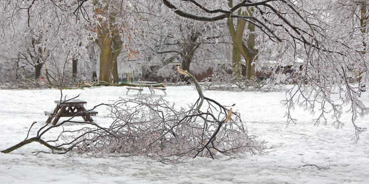 Winter Storm Survival Kit Collection