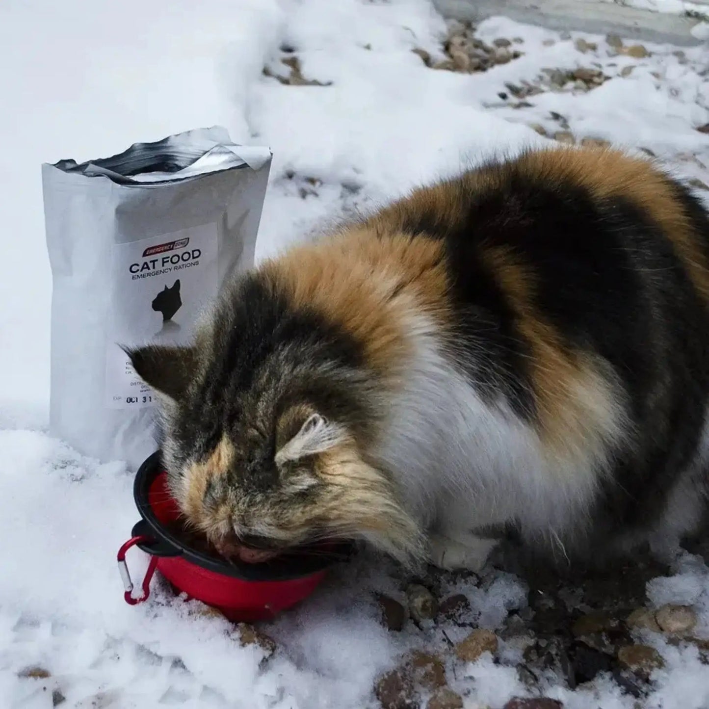 cat eating out of collapsible bowl and showing cat food included in the basic and deluxe kits