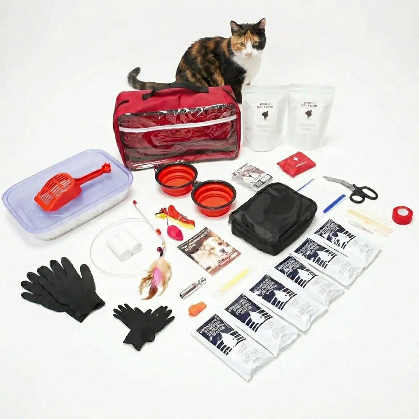 contents of basic cat emergency kit laid out for full view