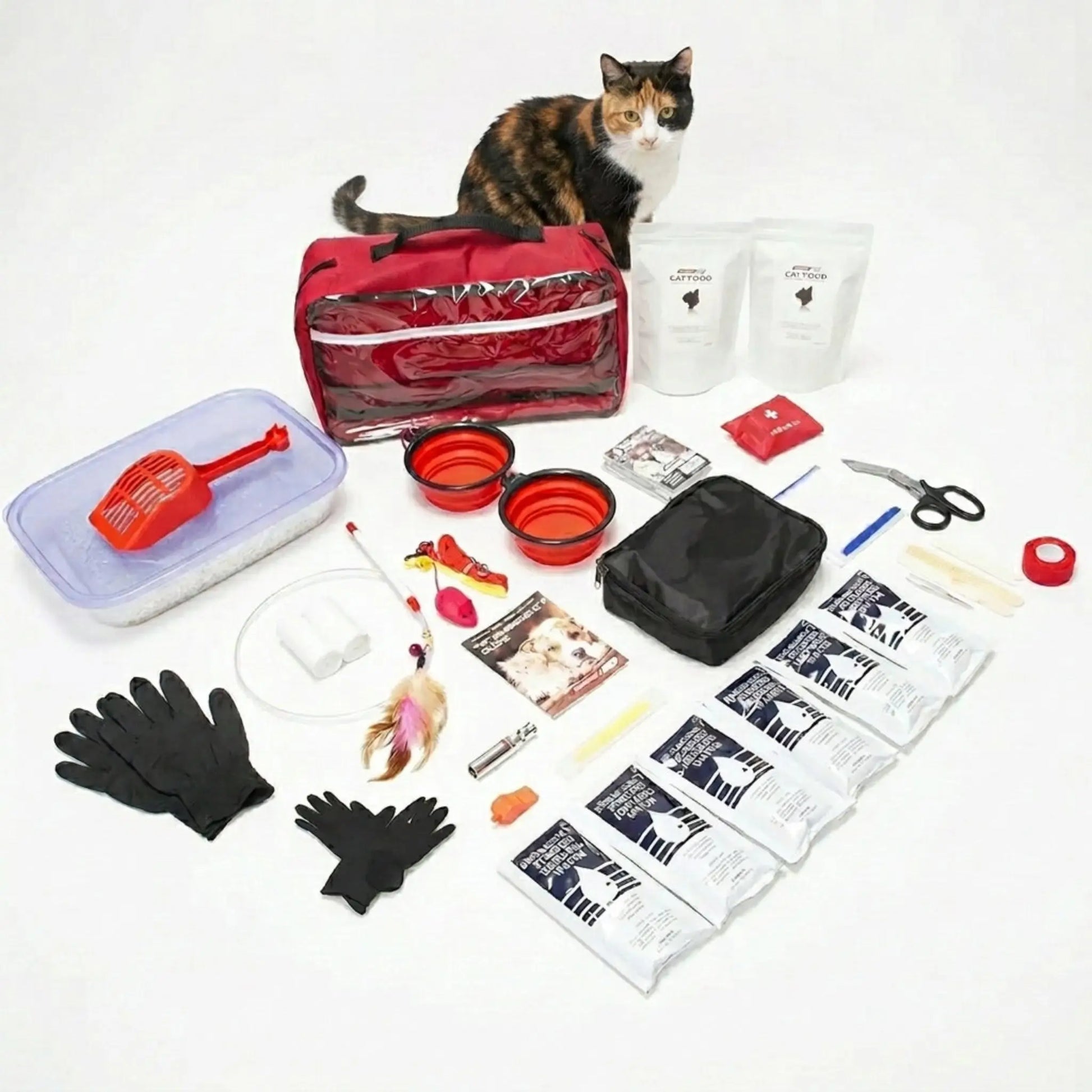 contents of basic cat emergency kit laid out for full view